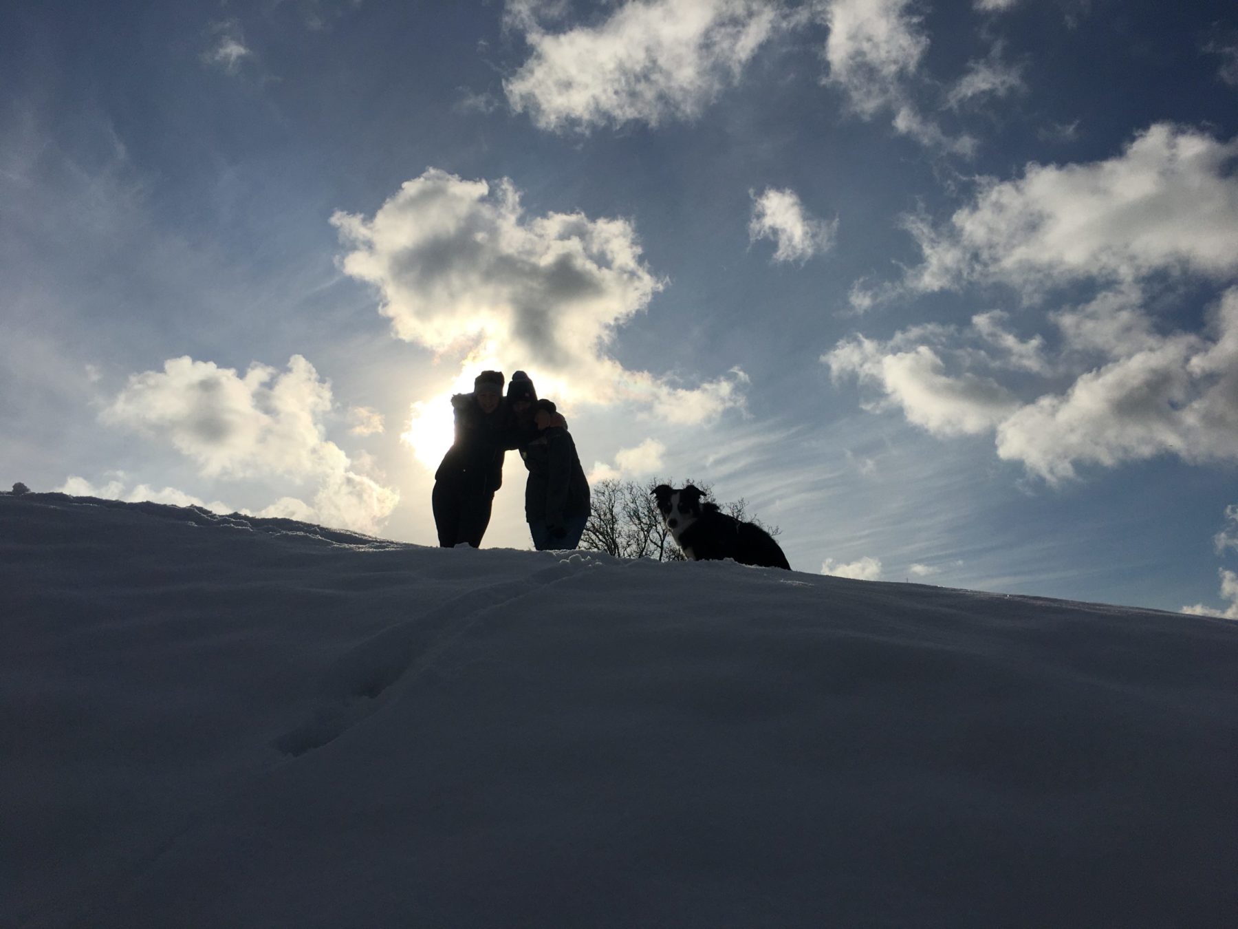 SCHNEEWEG – Im Schnee zu Fuss unterwegs für mehr Klarheit und Ruhe